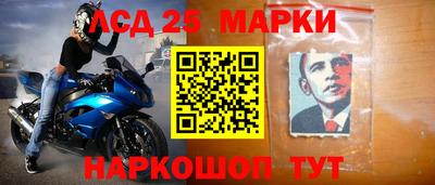 индика Партизанск